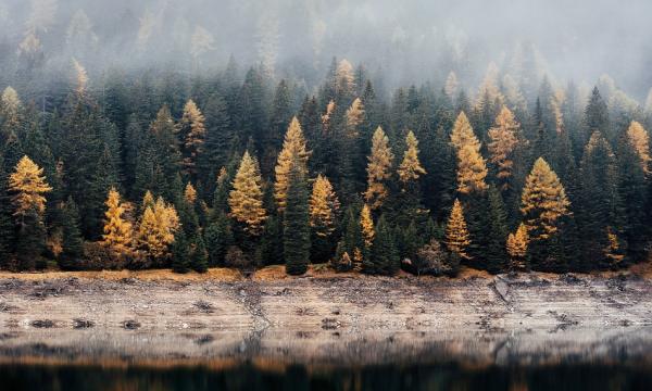 Seminars by Alessandro Cescatti and Mirco Migliavacca - Joint Research Centre of the European Commission